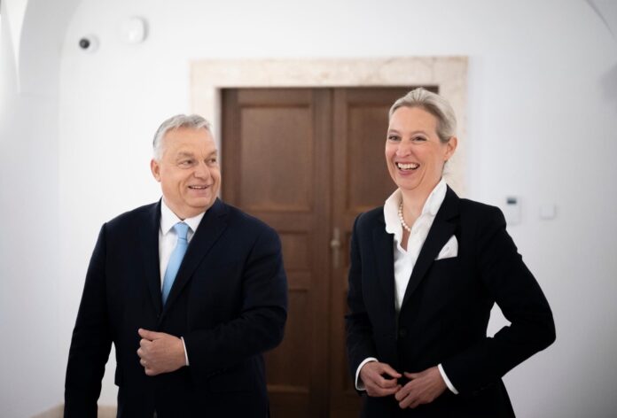 Sondaj INSA în Germania: AfD atinge un record istoric de 28%, rămânând cel mai puternic partid