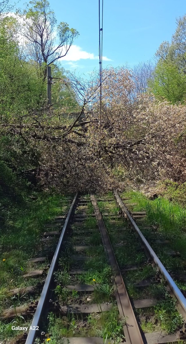 Trafic feroviar oprit temporar între Merișor-Crivadia și Toplița-Răstolița din cauza copacilor căzuți pe linie