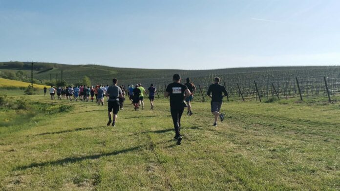 VIDEO FOTO Aproape 1.000 de alergători, printre vii la Petrovaselo: trail, vreme perfectă și gulaș la final